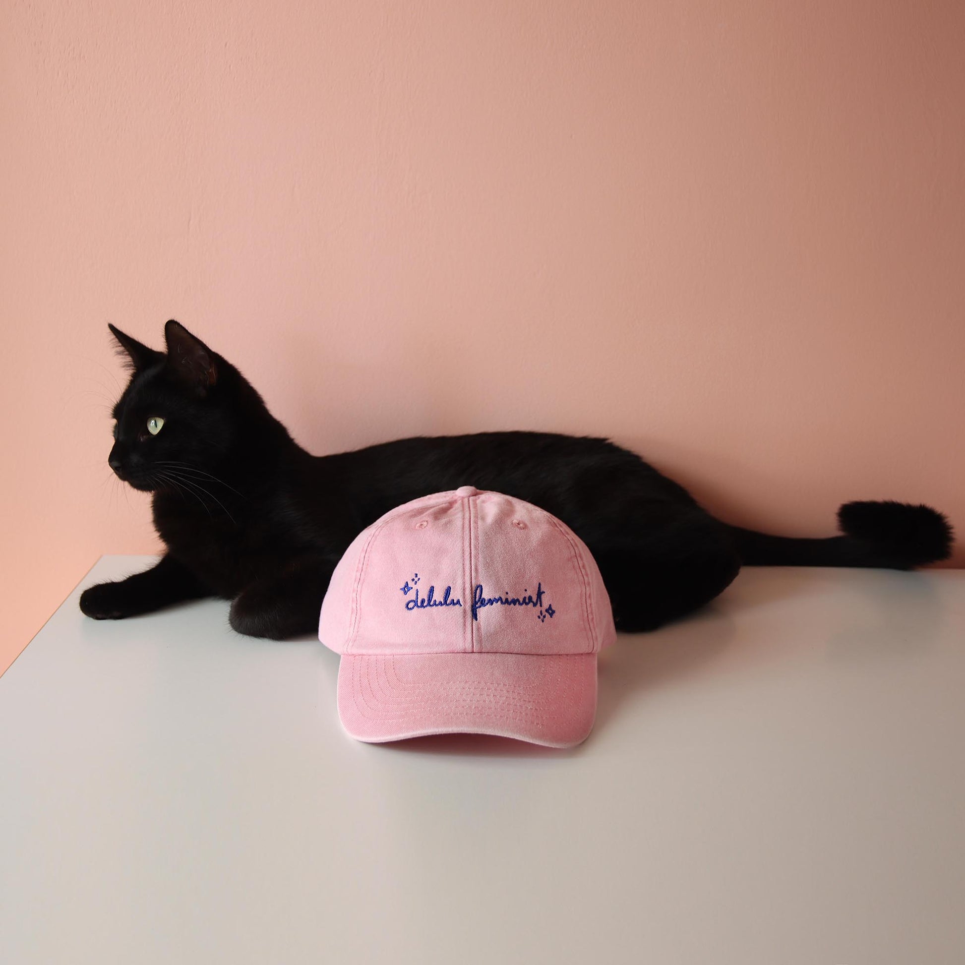 rosa Cap mit dem aufgestickten Schriftzug "Delulu Feminist" in blau mit einer schwarzen Katze, die im Hintergrund liegt