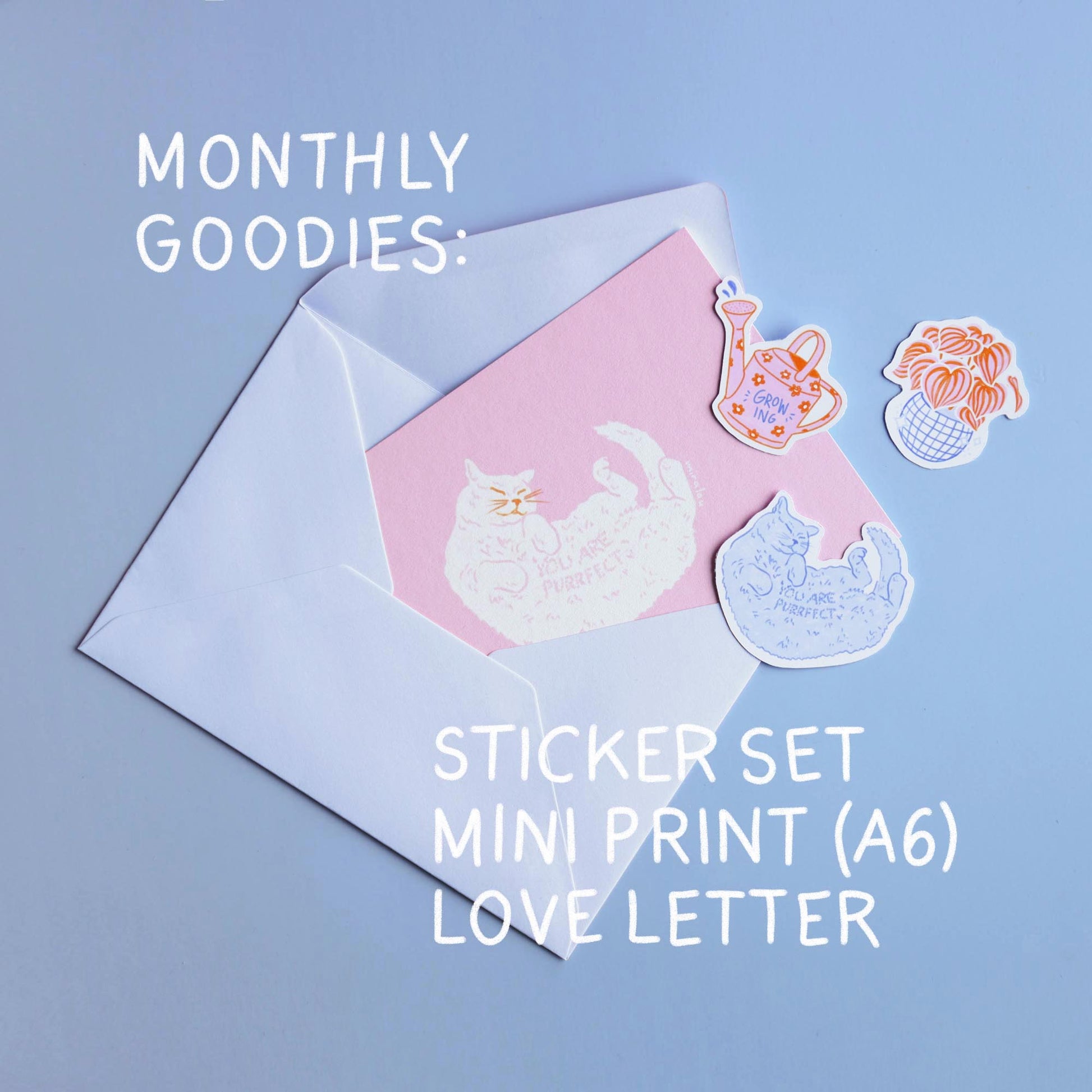 envelope with a postcard and stickers spilling out and details about the snail mail club